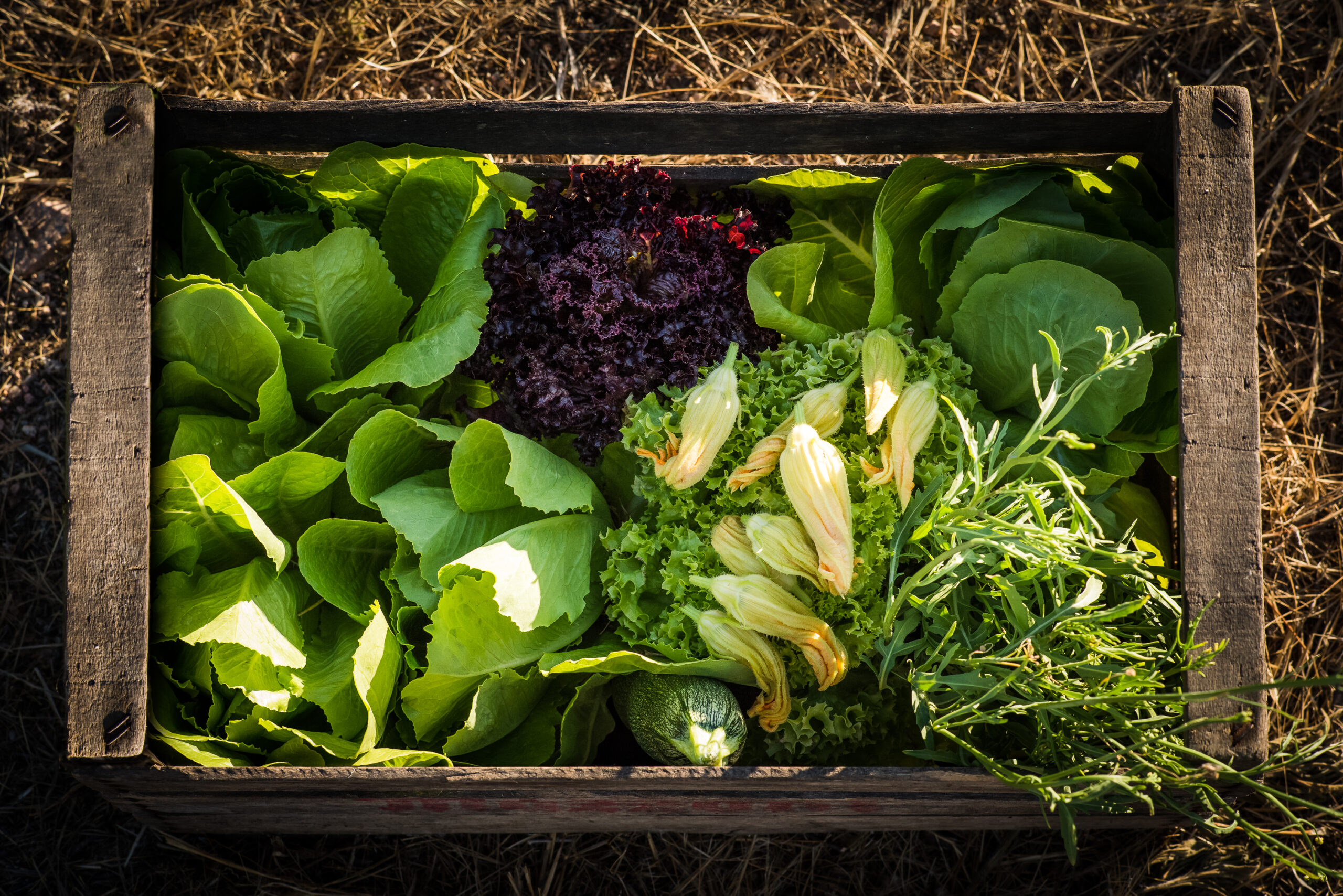 6da7611c40c8b93773dfb14fe14199f671b2fb09